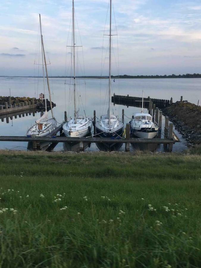 Vakantiehuisje In Ouddorp Dichtbij Het Strand Vila Exterior foto