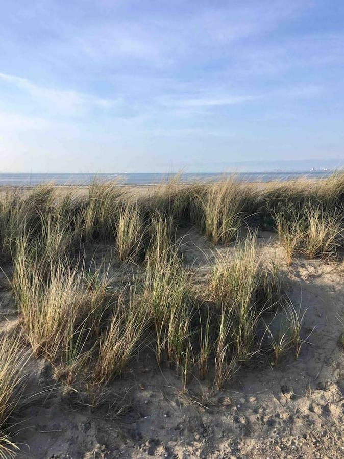 Vakantiehuisje In Ouddorp Dichtbij Het Strand Vila Exterior foto